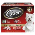 CESAR ENTREE BEEF/TURKEY  12X100G