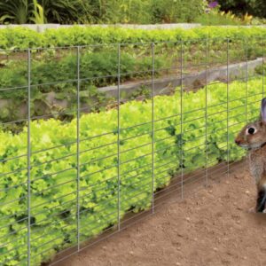 RABBIT GUARD FENCING 28-IN X 50-FT