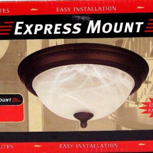 IFM41113 11IN 2 LIT FLUSHMOUNT ORB