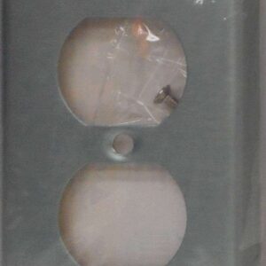 93101-SP-L DUPLEX PLATE 1 GANG S/S