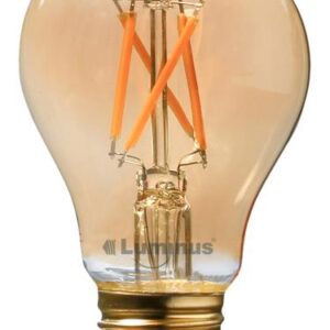 A19 VINTAGE LED BULB 2200K 4.5W