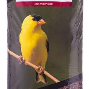 NYJER SEED WILD BIRD FOOD 4-KG