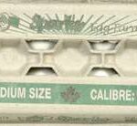 SPARKS MEDIUM EGGS