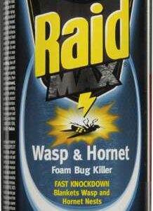 WASP & HORNET FOAMING SPRAY 500-GR