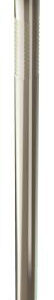 COMMON NAIL BRIGHT 400-GR 2-IN