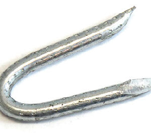 FENCE STAPLE 1-1/4-IN