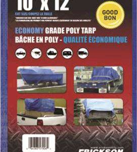 TARP ECONOMY BLUE 6X8-FT 2 PK