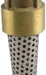 FOOT VALVE BRASS 3/4-IN