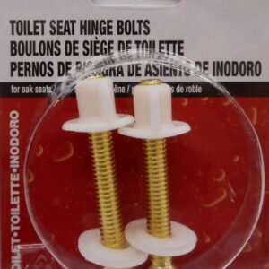TOILET SEAT HINGE BOLTS