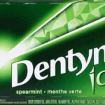 DENTYNE ICE SP MNT GUM    SNGL
