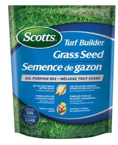 ALL PURPOSE GRASS SEED 1-KG