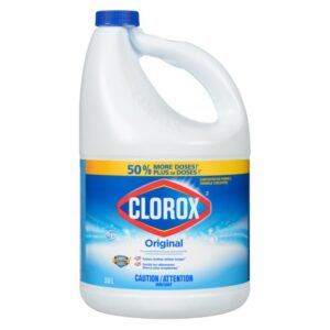 CLOROX BLEACH REG