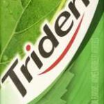 TRIDENT SLAB   SPRMNT GUM  MLTIPK