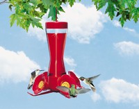FLOWER HUMMINGBIRD FEEDER GLASS 8OZ