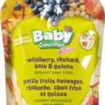 BABY GOUR PLUS BERRY/KALE  8+MO