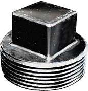 ABS PLUG AND CAP 2-IN