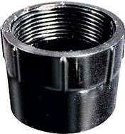ABS ADAPTER FPT 2-IN