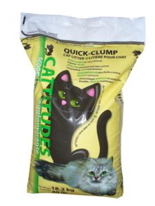 UNSCENTED QUICK CLUMP CAT LITTER