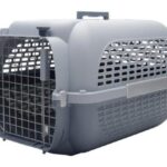 VOYAGEUR CARRIER SMALL GREY