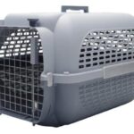 VOYAGEUR CARRIER MEDIUM GREY