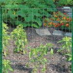 POLYCOATED LAWN FENCE 3X2IN X4X50FT