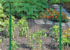 POLYCOATED LAWN FENCE 3X2IN X4X50FT