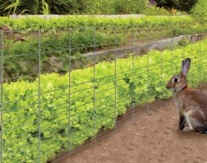 RABBIT GUARD FENCING 28-IN X 50-FT