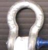 ANCHOR SHACKLE 5/16 X 3/8-IN PIN
