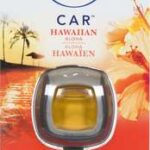 FBRZ CAR 1CT   HWN&ALOHA