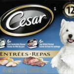 CESAR ENTREE PORK/SIRLOIN 12X100G