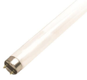 T8 FLUORESCENT TUBE 32W 48IN 2 PK