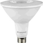 PAR38 LED LIGHT BULB DAYLIGHT 15W