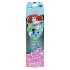 WETBRSH DETNGL DISNEY ASSRTMNT