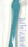 GUM DENTURE    BRSH W/CAP