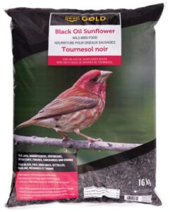 BLACK OIL SUNFLOWER BIRD FOOD 16-KG