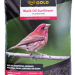 BLACK OIL SUNFLOWER BIRD FOOD 8-KG