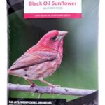 BLACK OIL SUNFLOWER BIRD FOOD 4-KG