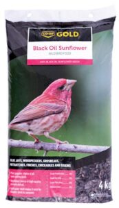 BLACK OIL SUNFLOWER BIRD FOOD 4-KG