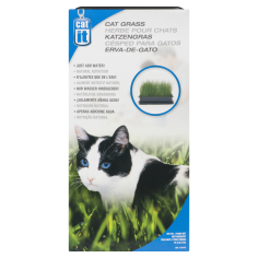 CAT GRASS 75-GR