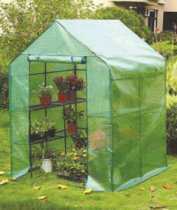 WALK IN GREENHOUSE