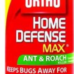 ANT B GON ANT HILL FOAM 400-G