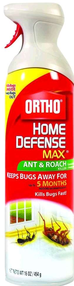ANT B GON ANT HILL FOAM 400-G
