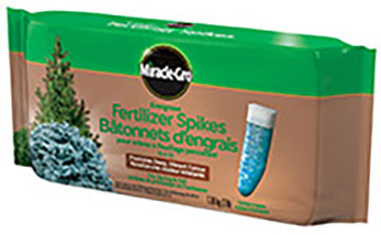 EVERGREEN FERTILIZER SPIKE 12-6-12