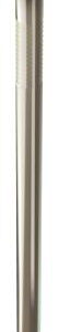 COMMON NAIL BRIGHT 400-GR 2 1/2-IN
