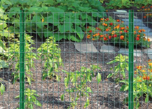 POLYCOATED LAWN FENCE 3X2IN X3X50FT