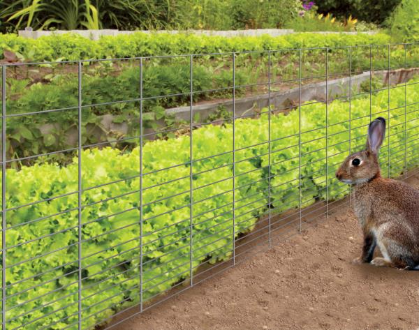 RABBIT GUARD FENCING 28-IN X 50-FT