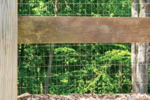 Welded Wire 3 x 2-In x 3 x 50-Ft — 50 ft