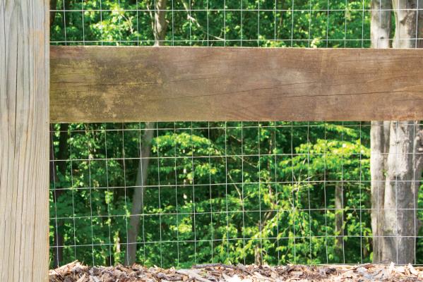 Welded Wire 3 x 2-In x 3 x 50-Ft — 50 ft