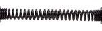 GATE SPRING BLACK 12-IN