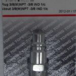 PLUG 3/8 IND X 3/8-IN MNPT